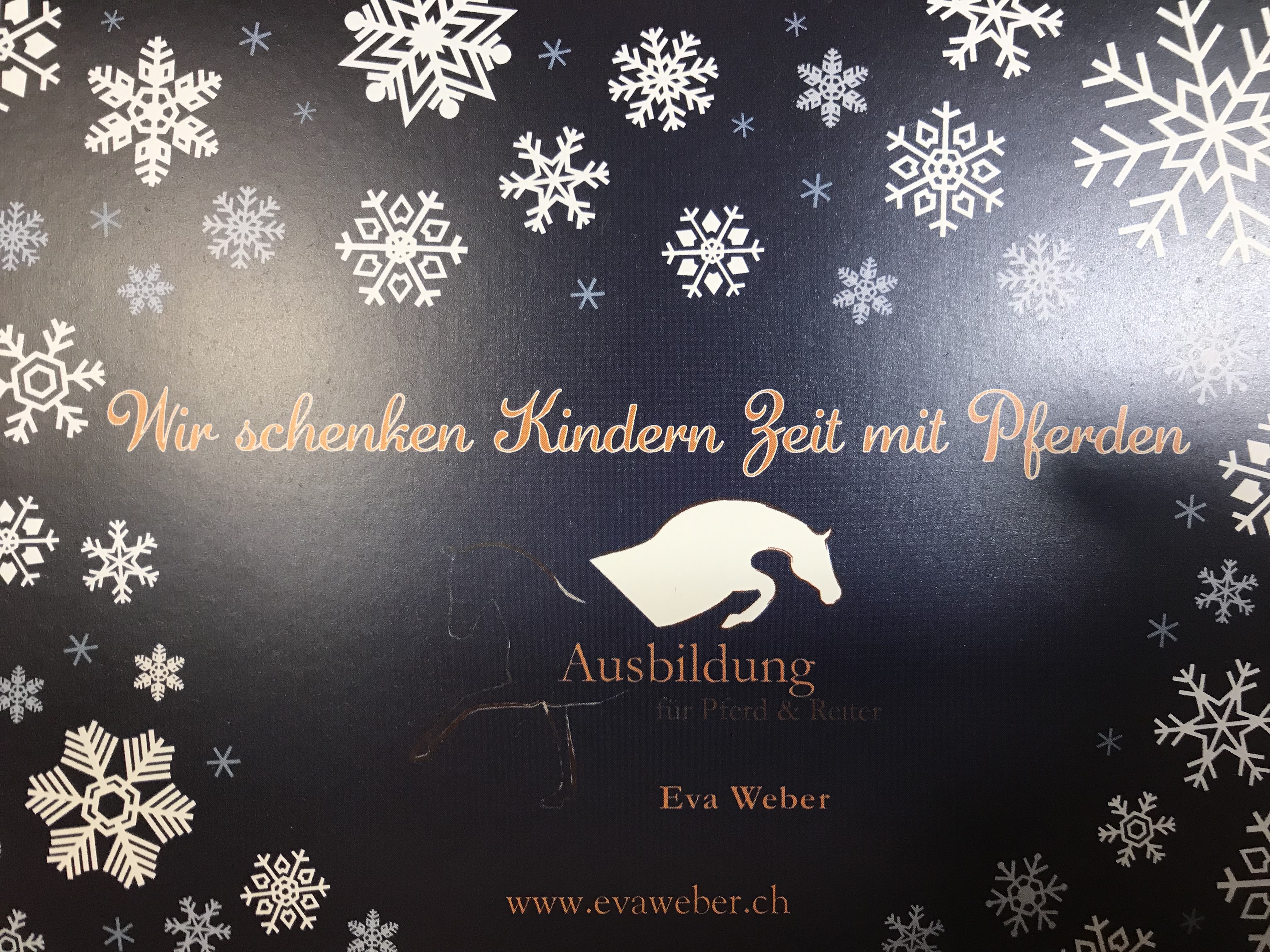 Zeit mit Pferden Image