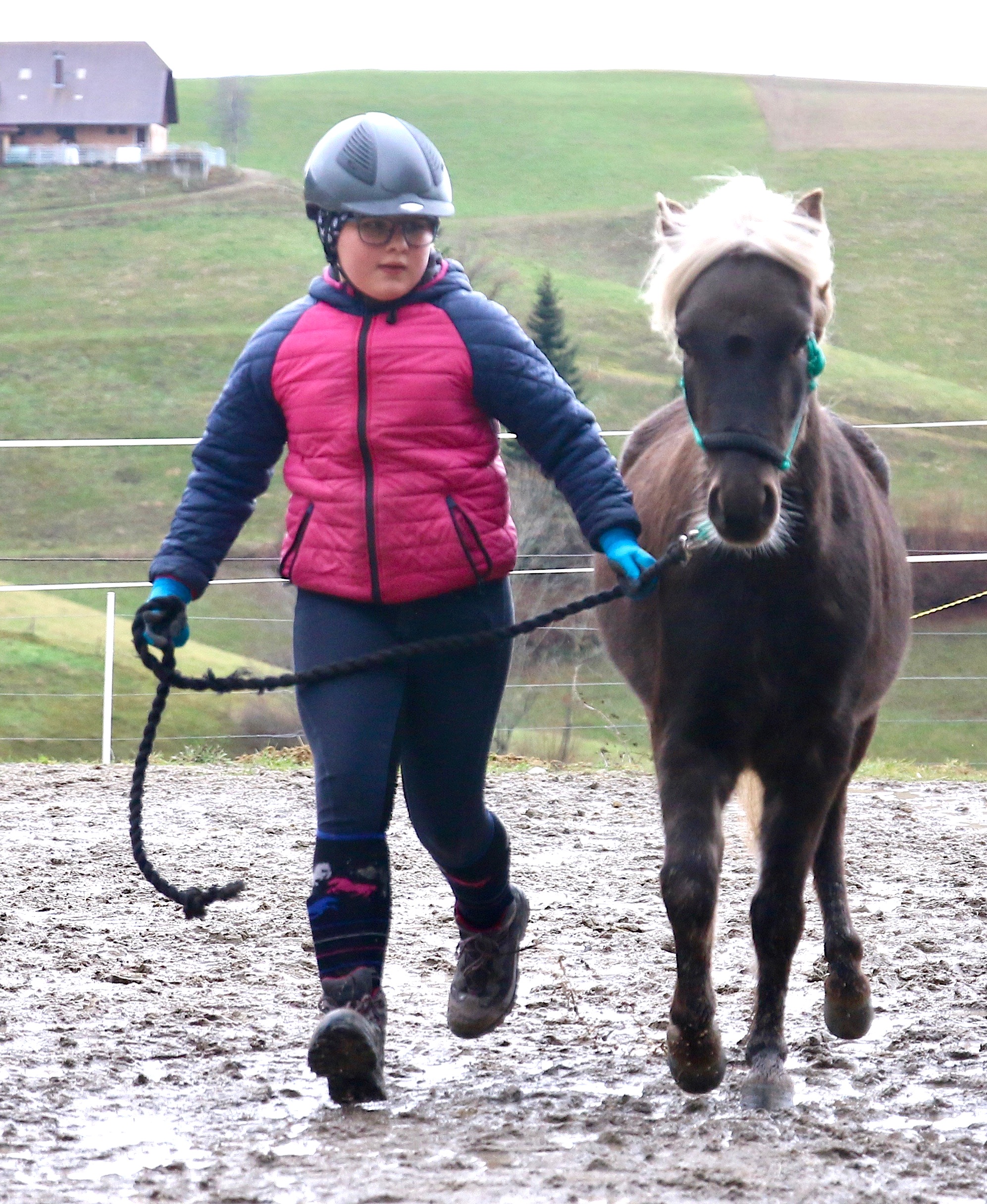 Kiro hilft beim Kindersport Fit fürs Pferd